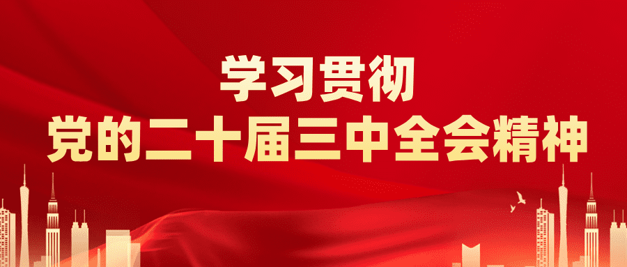 新闻多一点 | 读懂全会《决定》中的这些名词（三）